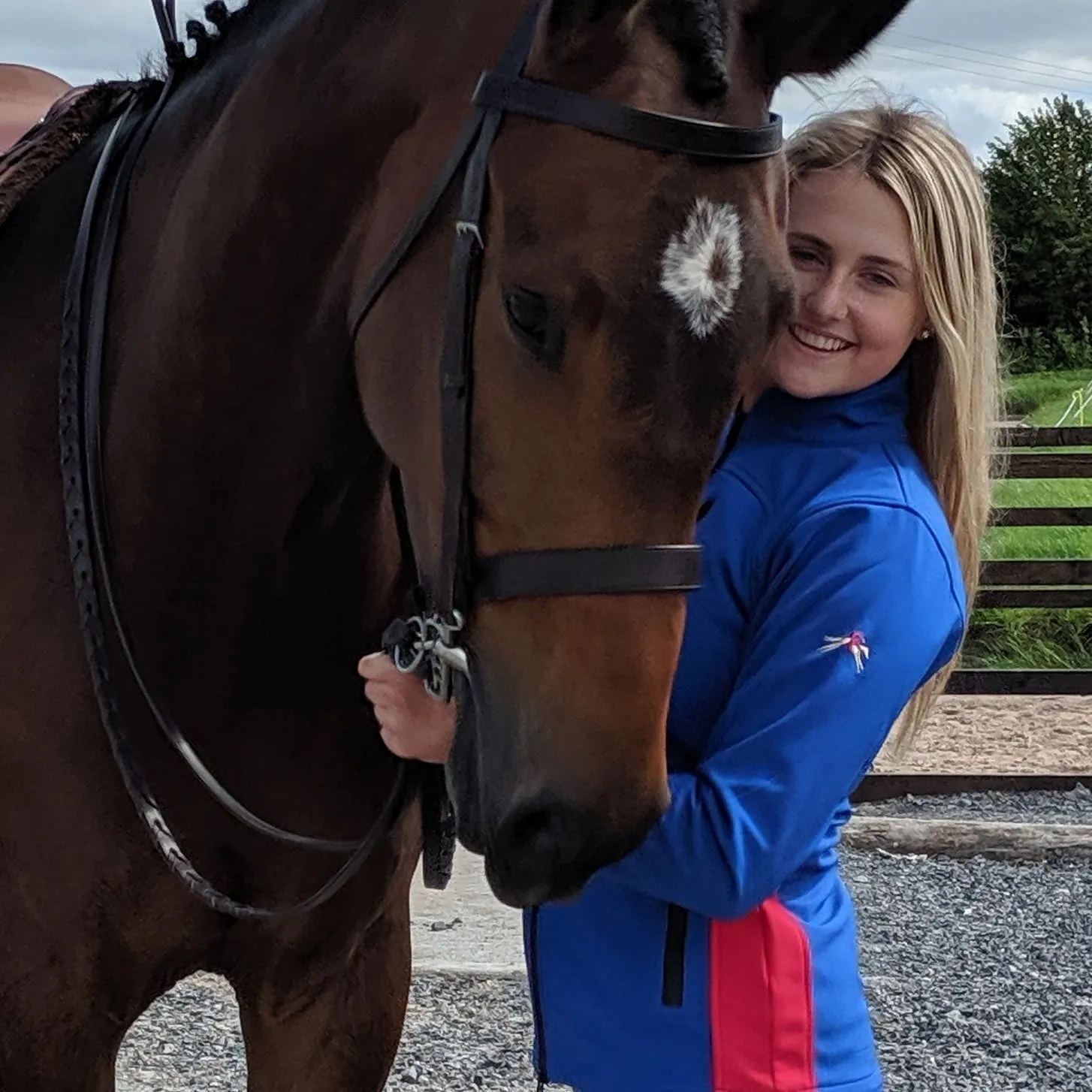 Adults Softshell Jacket - Royal Blue and Red