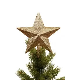 Christmas Star Tree Topper