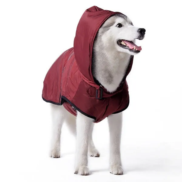 Classic Trench Coat For Dogs - Maroon