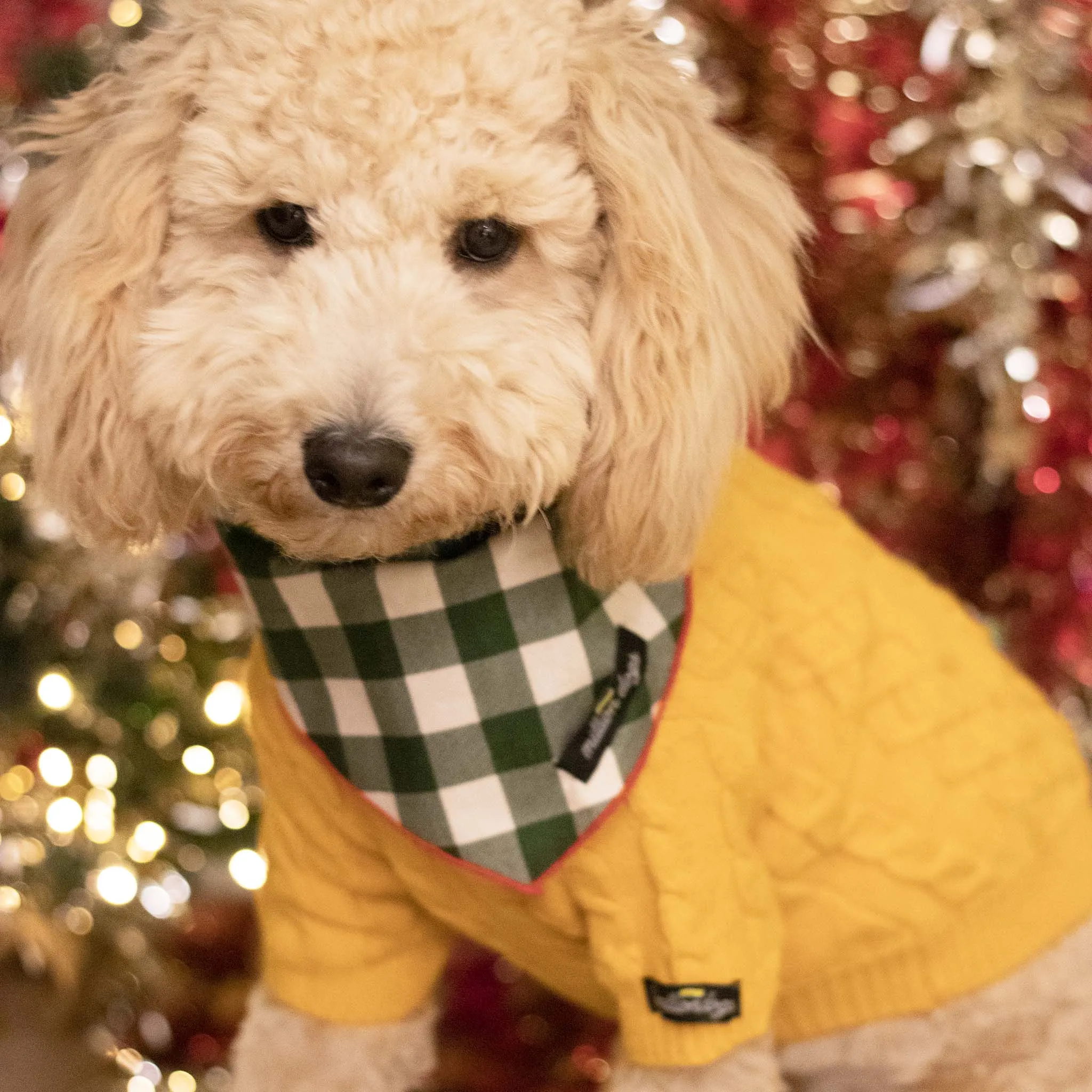 Cozy Mustard Cable Knit Dog Sweater